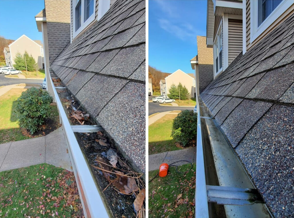 gutter cleaning1